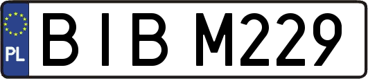 BIBM229
