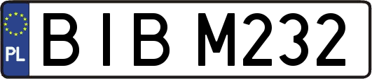 BIBM232