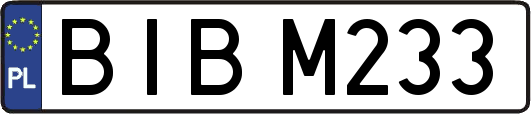 BIBM233