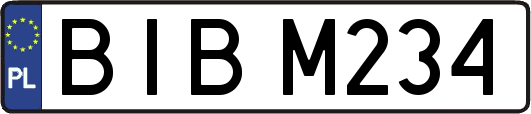 BIBM234