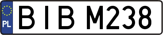 BIBM238