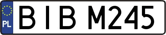 BIBM245