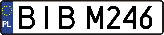 BIBM246