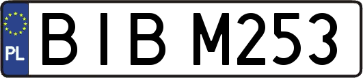 BIBM253