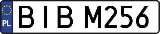 BIBM256