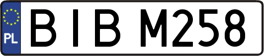 BIBM258