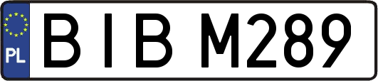 BIBM289