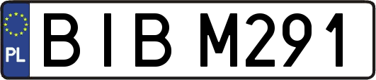 BIBM291