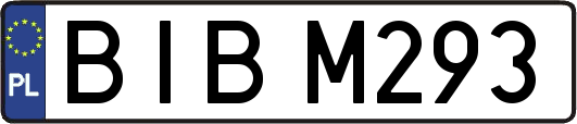 BIBM293