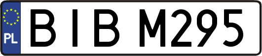 BIBM295