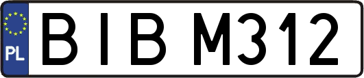 BIBM312