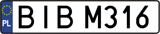 BIBM316