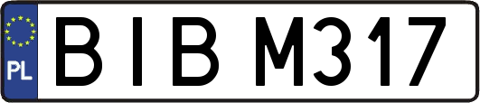 BIBM317