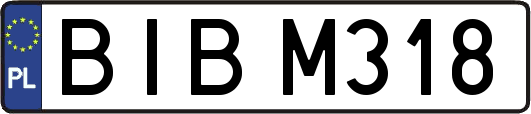 BIBM318
