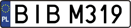 BIBM319