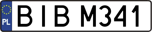 BIBM341