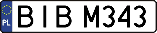 BIBM343