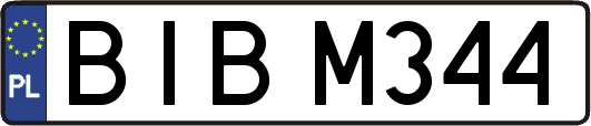 BIBM344