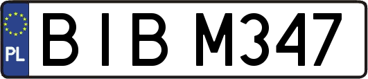 BIBM347