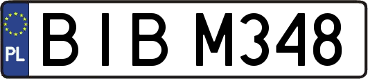 BIBM348