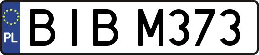 BIBM373