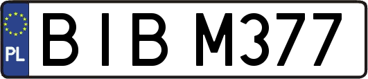 BIBM377