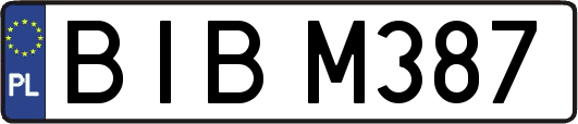 BIBM387