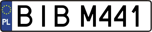 BIBM441