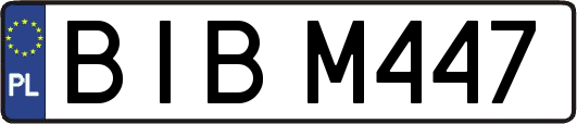 BIBM447