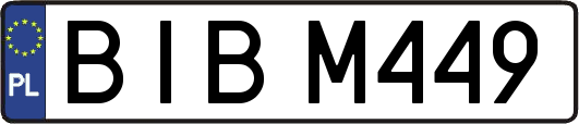 BIBM449