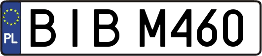 BIBM460