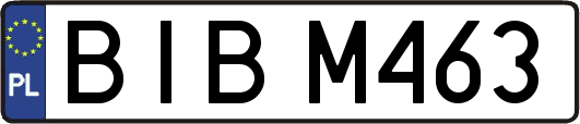 BIBM463