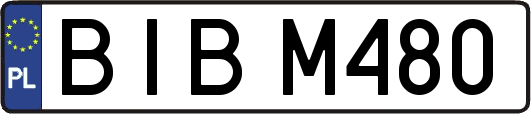 BIBM480