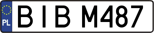 BIBM487