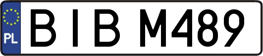 BIBM489