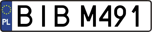 BIBM491