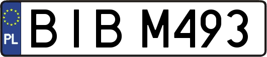 BIBM493