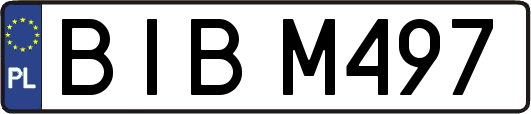 BIBM497