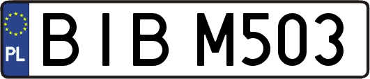 BIBM503