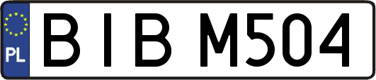 BIBM504