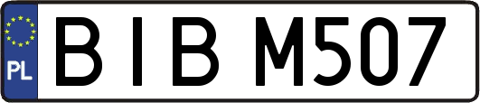 BIBM507