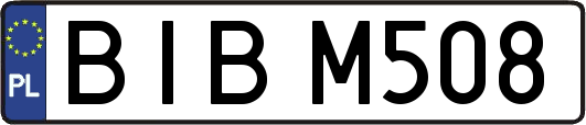 BIBM508