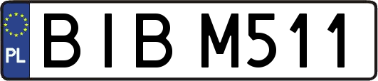 BIBM511