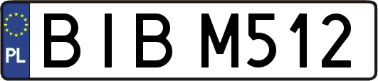 BIBM512