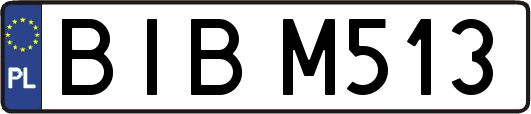 BIBM513