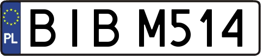 BIBM514