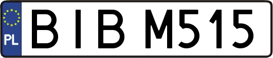 BIBM515
