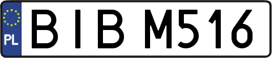 BIBM516