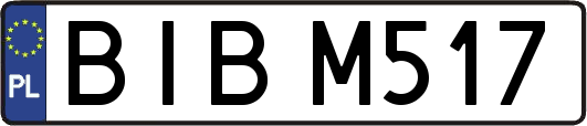 BIBM517