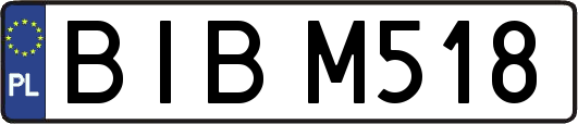 BIBM518